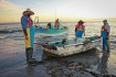Blue Economies and Ocean Grabbing in Latin America